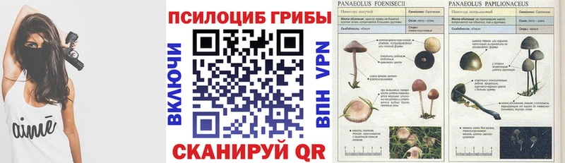 Псилоцибиновые грибы мухоморы Моршанск